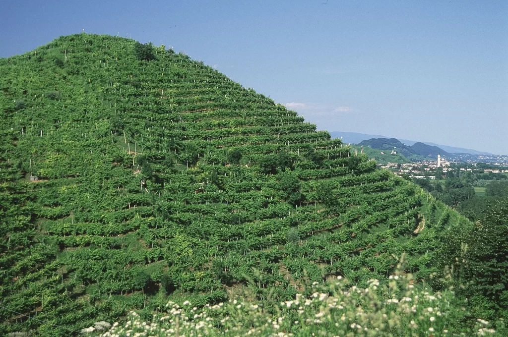 Prosecco Valdobbiadene Bortolotti